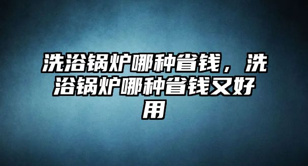 洗浴鍋爐哪種省錢，洗浴鍋爐哪種省錢又好用