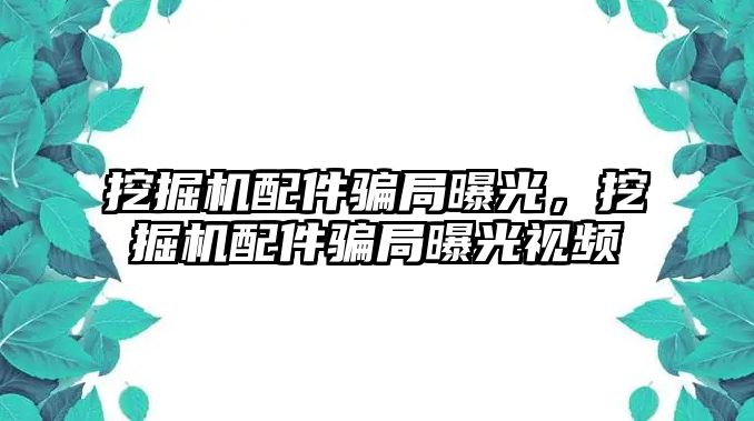 挖掘機配件騙局曝光，挖掘機配件騙局曝光視頻