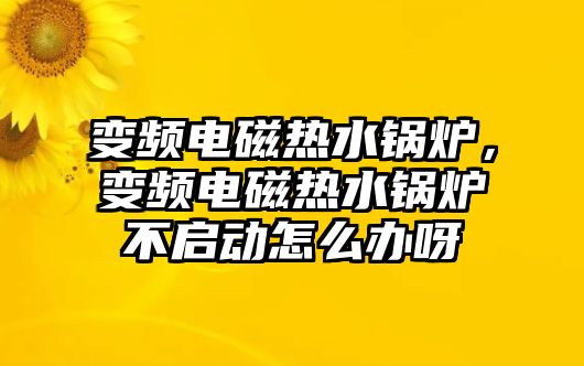 變頻電磁熱水鍋爐，變頻電磁熱水鍋爐不啟動怎么辦呀