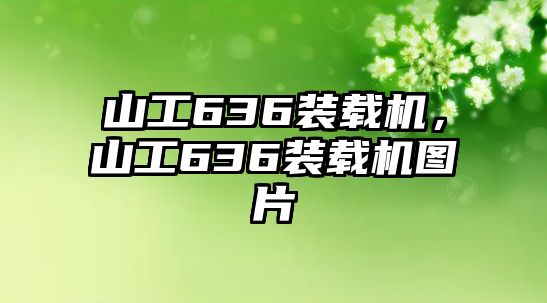 山工636裝載機(jī)，山工636裝載機(jī)圖片