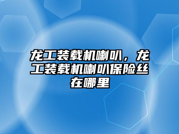 龍工裝載機(jī)喇叭，龍工裝載機(jī)喇叭保險(xiǎn)絲在哪里