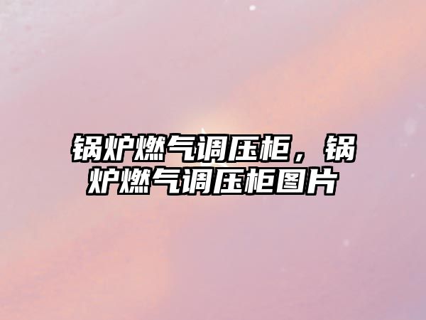 鍋爐燃?xì)庹{(diào)壓柜，鍋爐燃?xì)庹{(diào)壓柜圖片