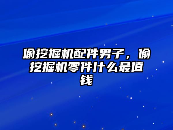 偷挖掘機配件男子，偷挖掘機零件什么最值錢