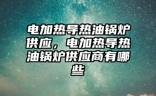 電加熱導熱油鍋爐供應，電加熱導熱油鍋爐供應商有哪些