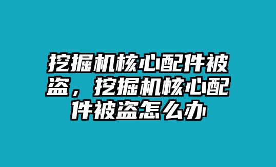 挖掘機核心配件被盜，挖掘機核心配件被盜怎么辦