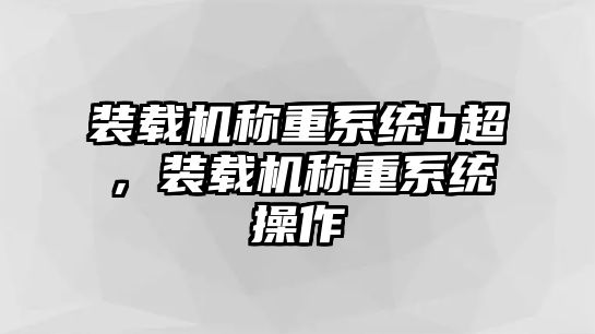 裝載機(jī)稱重系統(tǒng)b超，裝載機(jī)稱重系統(tǒng)操作