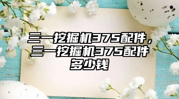 三一挖掘機375配件，三一挖掘機375配件多少錢