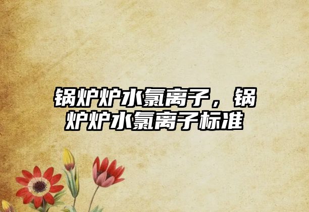 鍋爐爐水氯離子，鍋爐爐水氯離子標(biāo)準(zhǔn)