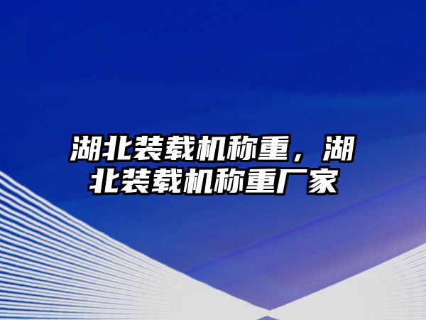 湖北裝載機稱重，湖北裝載機稱重廠家