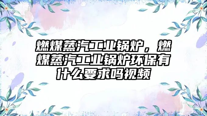 燃煤蒸汽工業(yè)鍋爐，燃煤蒸汽工業(yè)鍋爐環(huán)保有什么要求嗎視頻