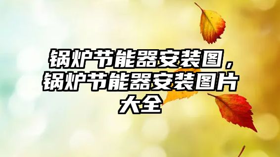 鍋爐節(jié)能器安裝圖，鍋爐節(jié)能器安裝圖片大全