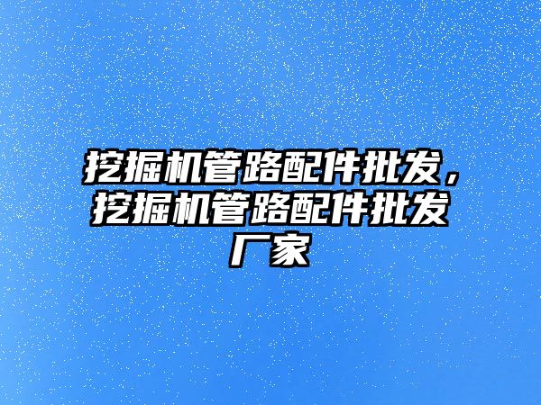 挖掘機管路配件批發(fā)，挖掘機管路配件批發(fā)廠家