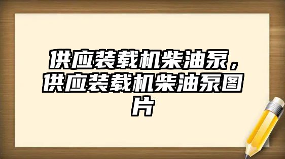 供應(yīng)裝載機(jī)柴油泵，供應(yīng)裝載機(jī)柴油泵圖片