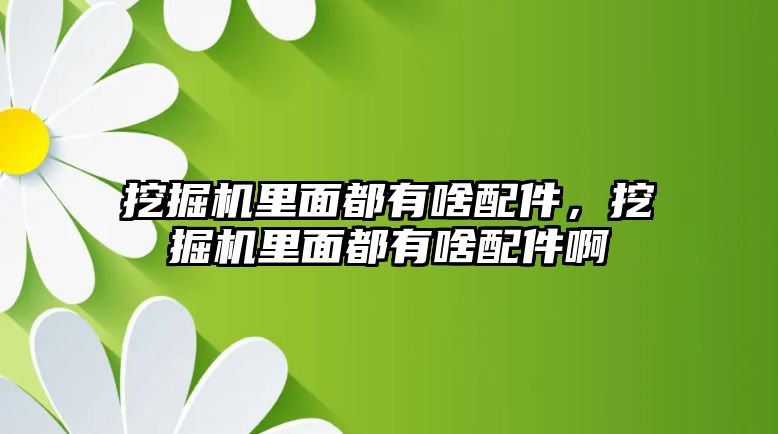 挖掘機里面都有啥配件，挖掘機里面都有啥配件啊