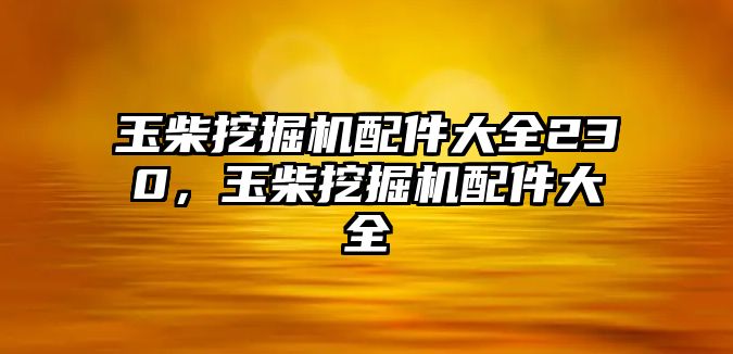 玉柴挖掘機(jī)配件大全230，玉柴挖掘機(jī)配件大全