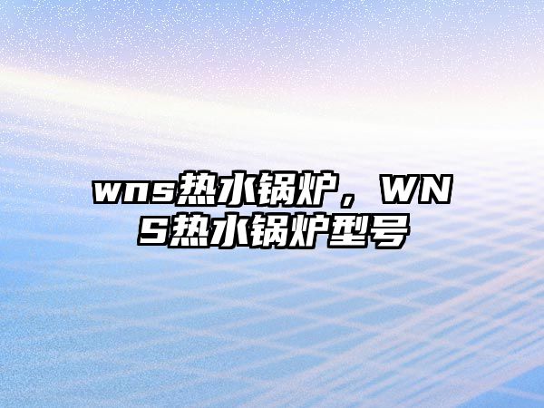 wns熱水鍋爐，WNS熱水鍋爐型號