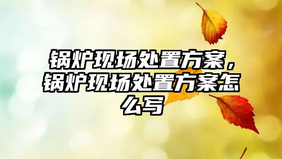 鍋爐現(xiàn)場(chǎng)處置方案，鍋爐現(xiàn)場(chǎng)處置方案怎么寫(xiě)