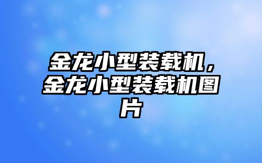 金龍小型裝載機(jī)，金龍小型裝載機(jī)圖片