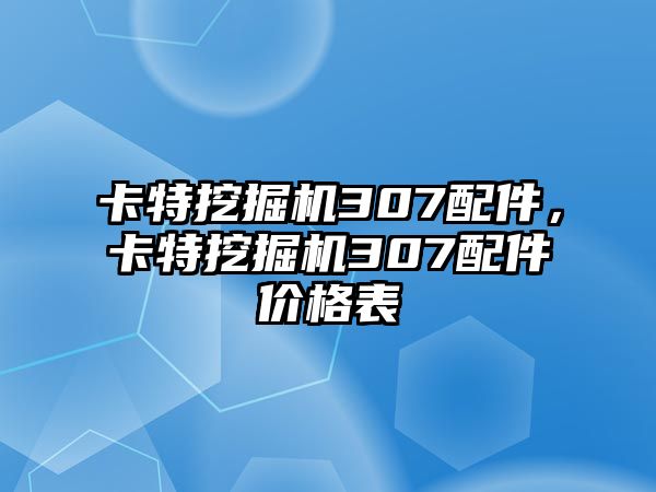 卡特挖掘機307配件，卡特挖掘機307配件價格表