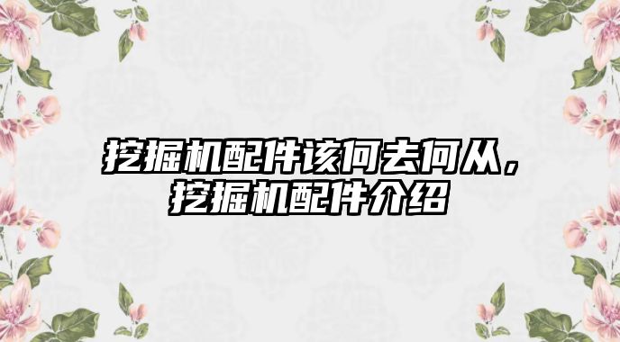 挖掘機(jī)配件該何去何從，挖掘機(jī)配件介紹