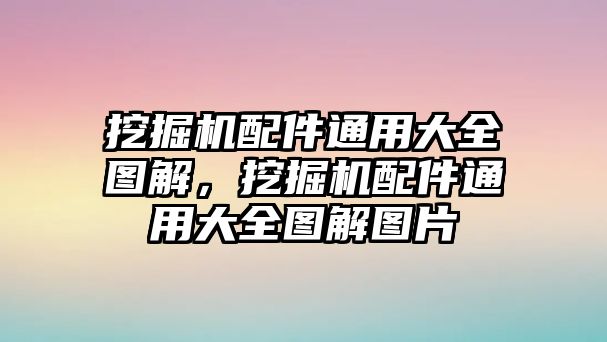 挖掘機配件通用大全圖解，挖掘機配件通用大全圖解圖片