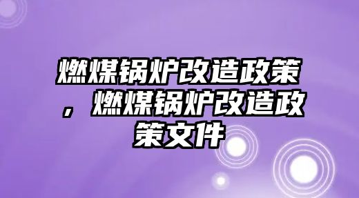 燃煤鍋爐改造政策，燃煤鍋爐改造政策文件