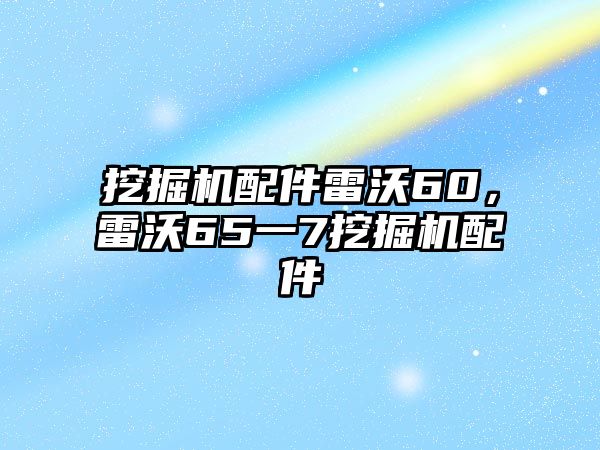 挖掘機(jī)配件雷沃60，雷沃65一7挖掘機(jī)配件