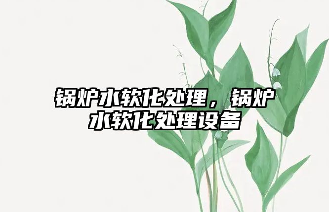 鍋爐水軟化處理，鍋爐水軟化處理設(shè)備