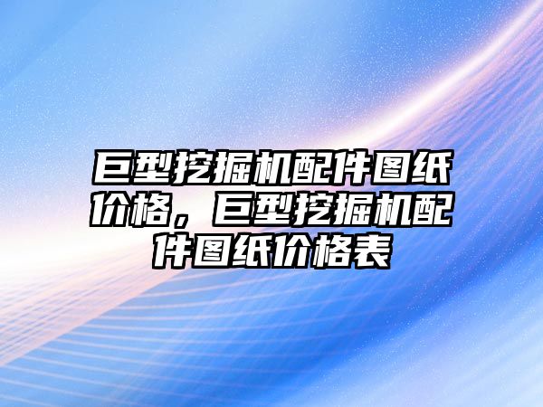 巨型挖掘機配件圖紙價格，巨型挖掘機配件圖紙價格表