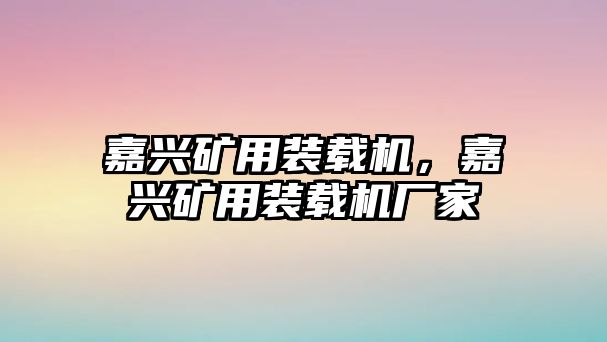 嘉興礦用裝載機(jī)，嘉興礦用裝載機(jī)廠家