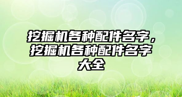 挖掘機各種配件名字，挖掘機各種配件名字大全