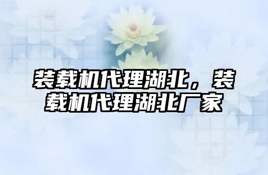 裝載機代理湖北，裝載機代理湖北廠家