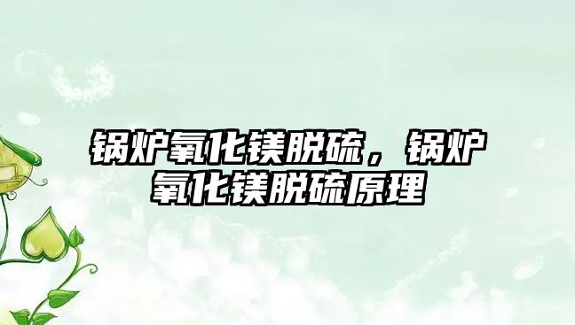 鍋爐氧化鎂脫硫，鍋爐氧化鎂脫硫原理