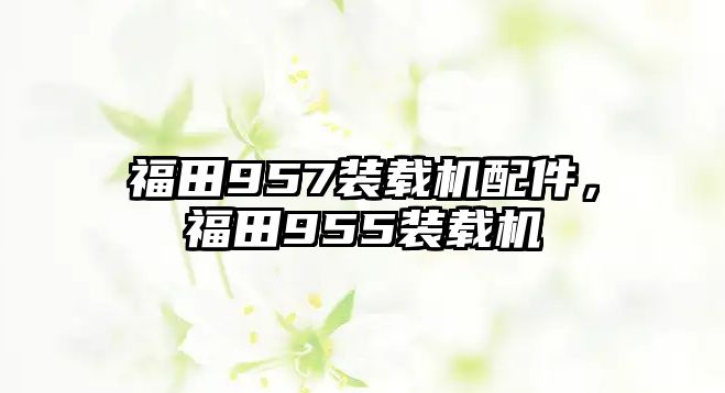 福田957裝載機(jī)配件，福田955裝載機(jī)