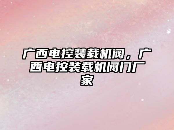 廣西電控裝載機閥，廣西電控裝載機閥門廠家