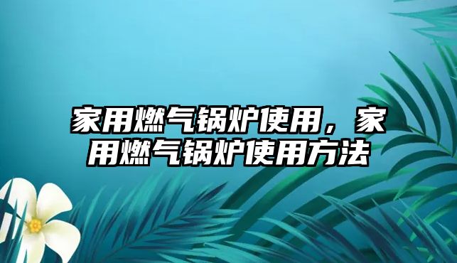 家用燃?xì)忮仩t使用，家用燃?xì)忮仩t使用方法