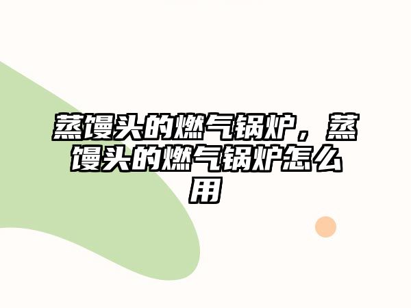 蒸饅頭的燃?xì)忮仩t，蒸饅頭的燃?xì)忮仩t怎么用