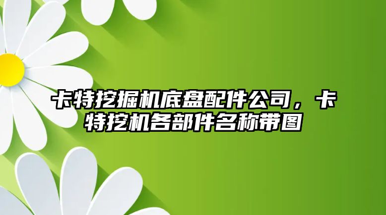 卡特挖掘機底盤配件公司，卡特挖機各部件名稱帶圖