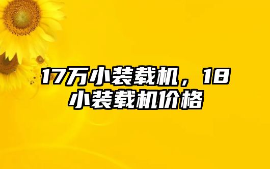 17萬小裝載機(jī)，18小裝載機(jī)價格