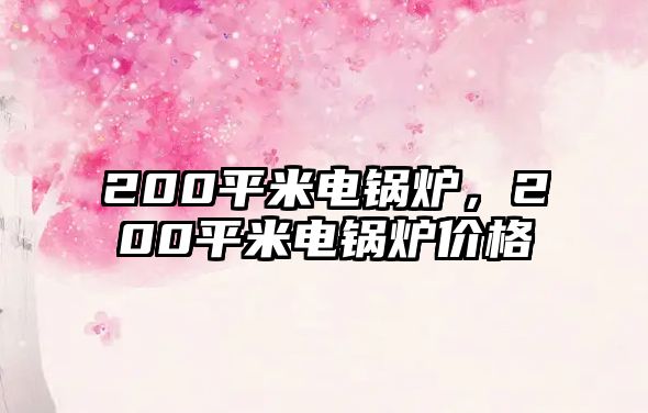 200平米電鍋爐，200平米電鍋爐價格