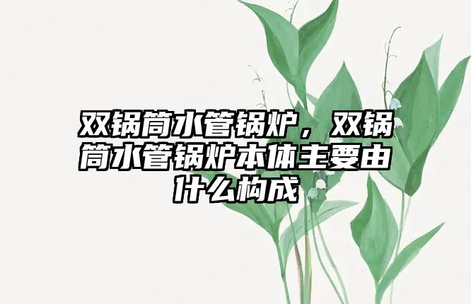 雙鍋筒水管鍋爐，雙鍋筒水管鍋爐本體主要由什么構(gòu)成