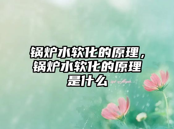 鍋爐水軟化的原理，鍋爐水軟化的原理是什么