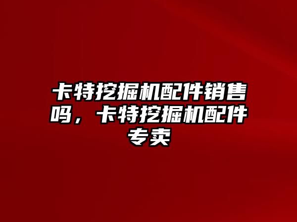 卡特挖掘機配件銷售嗎，卡特挖掘機配件專賣