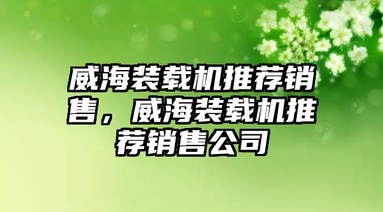 威海裝載機(jī)推薦銷售，威海裝載機(jī)推薦銷售公司