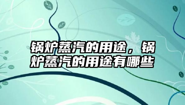 鍋爐蒸汽的用途，鍋爐蒸汽的用途有哪些