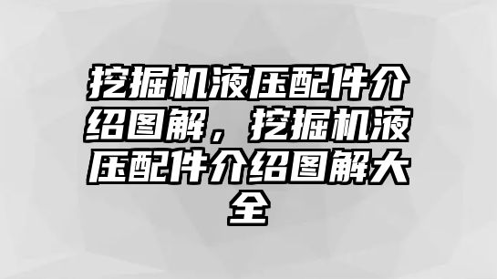 挖掘機液壓配件介紹圖解，挖掘機液壓配件介紹圖解大全