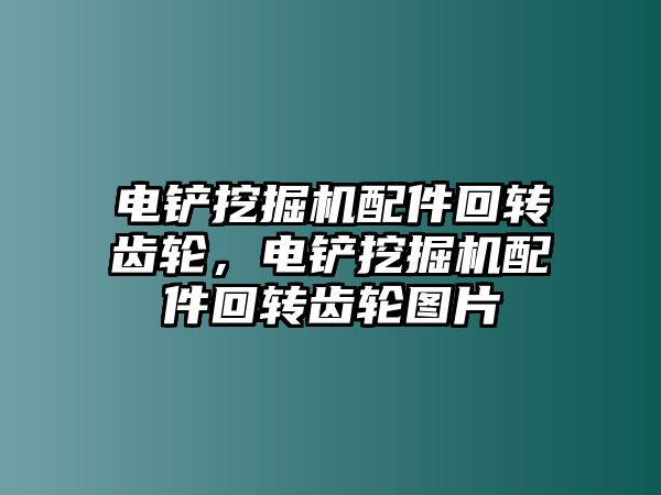 電鏟挖掘機配件回轉(zhuǎn)齒輪，電鏟挖掘機配件回轉(zhuǎn)齒輪圖片