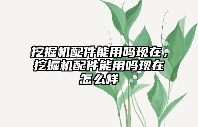 挖掘機配件能用嗎現(xiàn)在，挖掘機配件能用嗎現(xiàn)在怎么樣