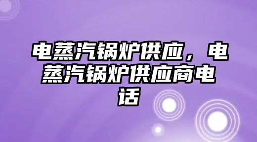 電蒸汽鍋爐供應(yīng)，電蒸汽鍋爐供應(yīng)商電話