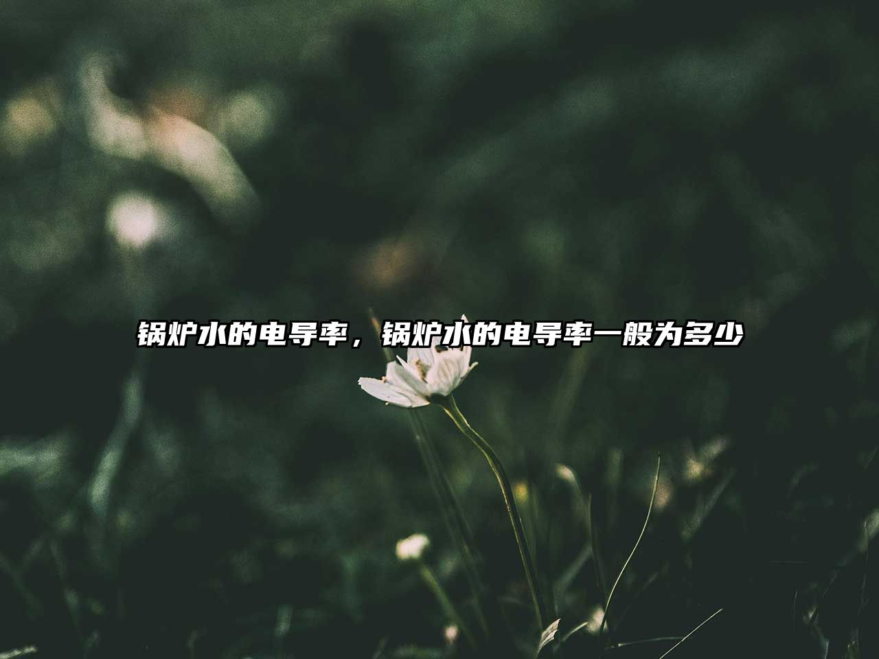 鍋爐水的電導(dǎo)率，鍋爐水的電導(dǎo)率一般為多少